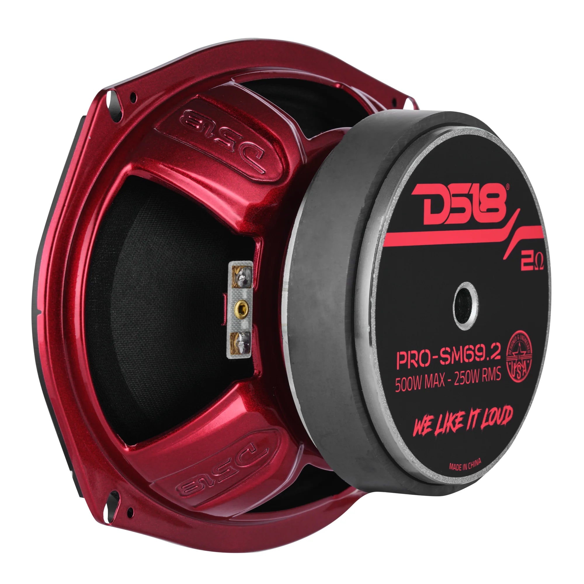 DS18 PRO 6x9" Slim Water-Resistant Mid-Range Loudspeaker | 250W RMS 2-Ohm