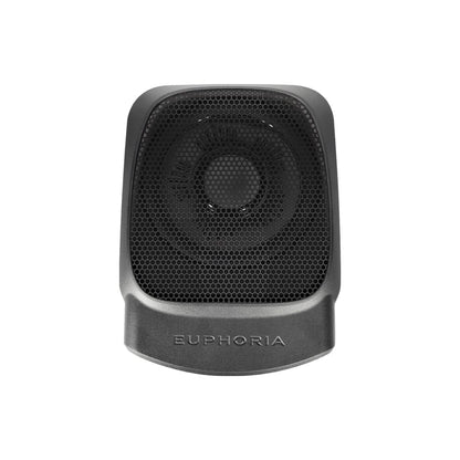 Euphoria EPSW10 10" Underseat Active Subwoofer